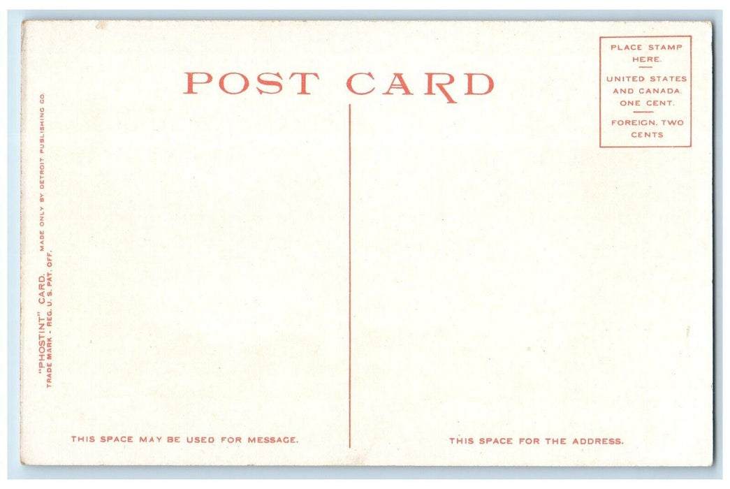 c1910 Craven House Point Trees Rock Lookout Mountain Tennessee Vintage Postcard