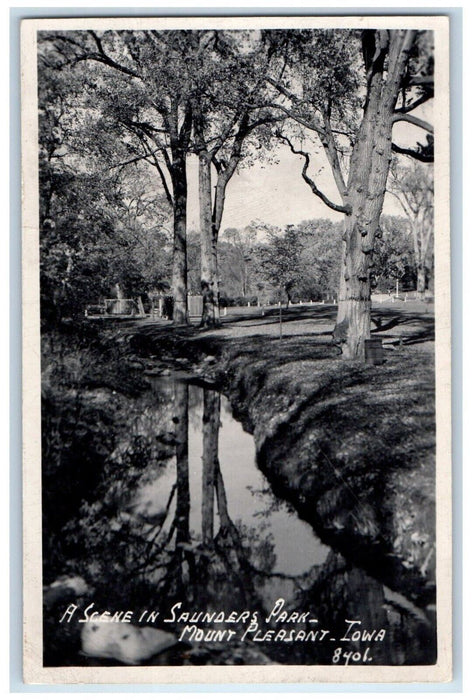 Scene In Saunders Park Mount Pleasant Iowa IA Vintage RPPC Photo Postcard