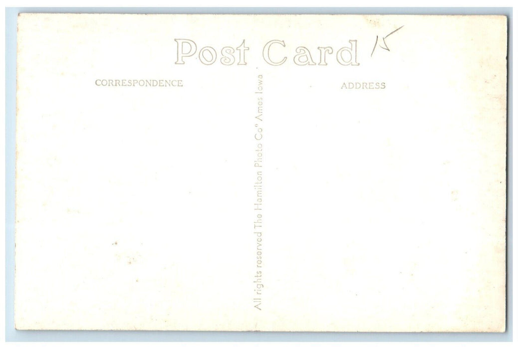 Scene In Saunders Park Mount Pleasant Iowa IA Vintage RPPC Photo Postcard
