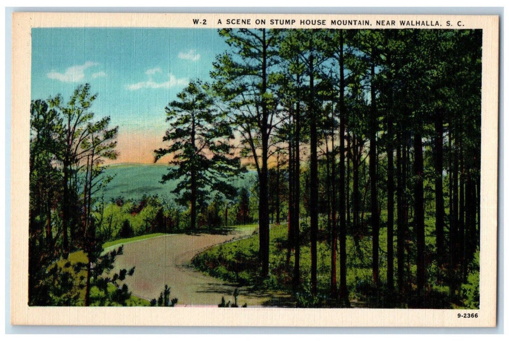 c1940 Scene Stump House Mountain Near Walhalla South Carolina Vintage Postcard