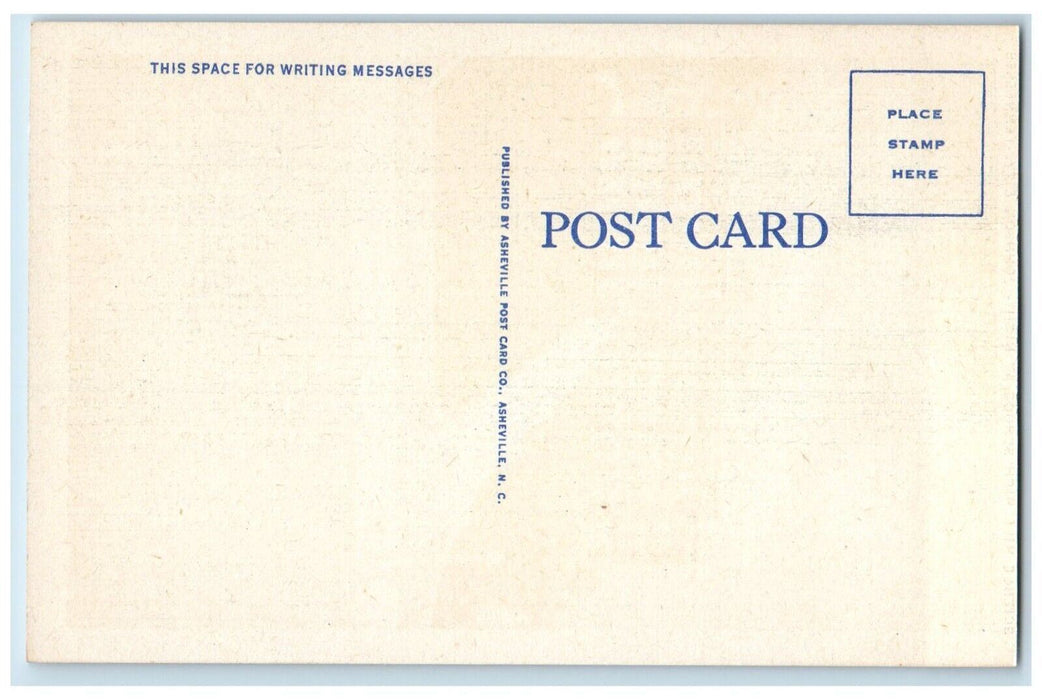 c1940 Science Hill High School Night Johnson City Tennessee TN Vintage Postcard