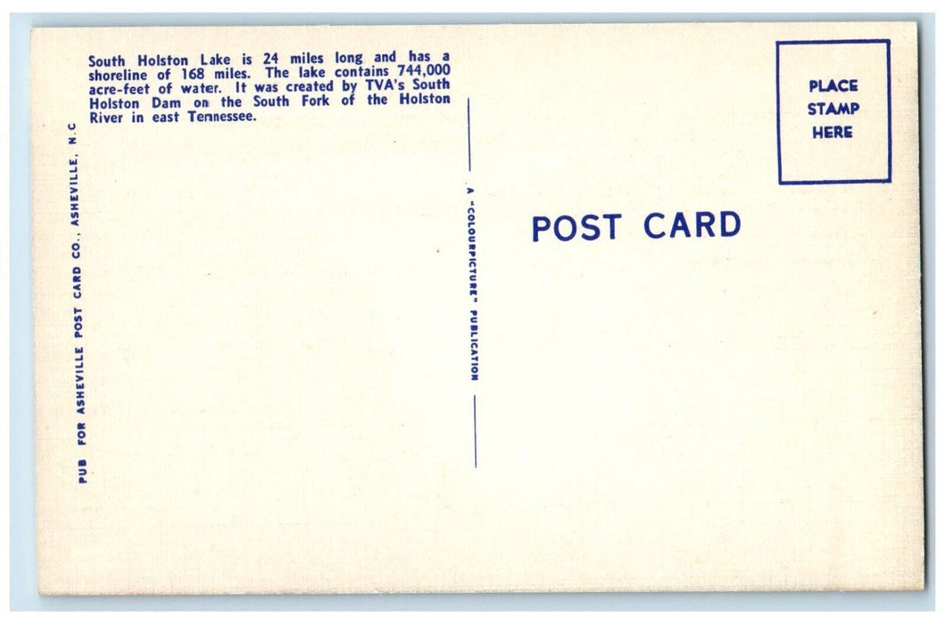 c1940 Bird's Eye View South Holston Lake Eastern Tennessee TN Vintage Postcard