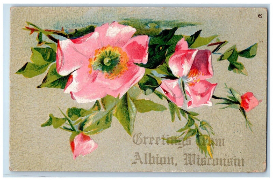 1910 Greetings From Albion Flower Embossed Wisconsin WI Vintage Antique Postcard