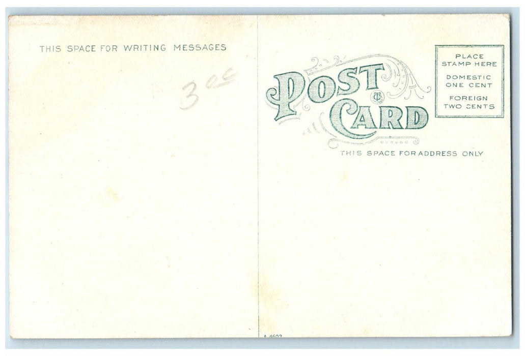 1910 Broadway Street Road Houses Hagerstown Maryland MD Vintage Antique Postcard