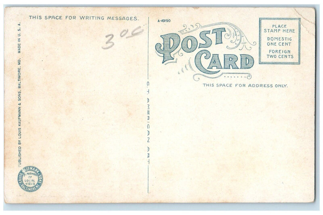 c1910 Exterior View Trinity Chapel I.O.O.F. Hall Frederick Maryland MD Postcard