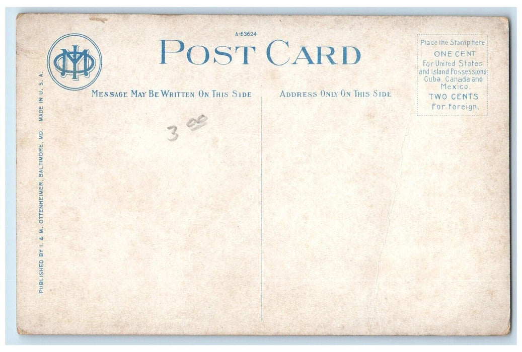 c1910 Union Station Sunken Garden Mount Royal Avenue Baltimore Maryland Postcard