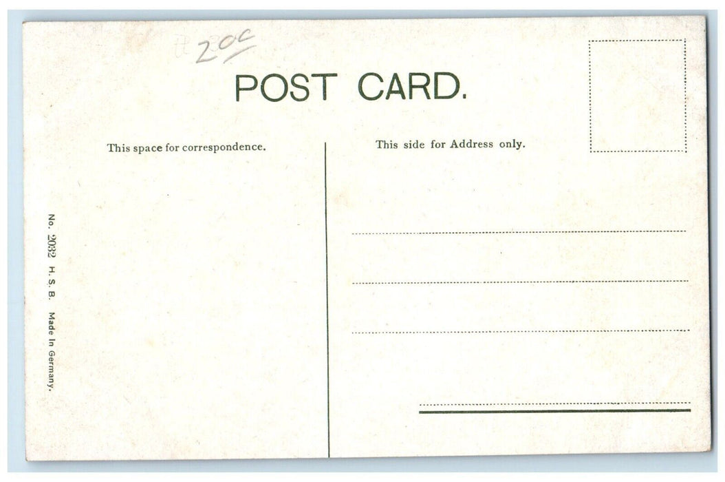 c1910 Alligator Pool San Jacinto Plaza El Paso Texas TX Antique Postcard