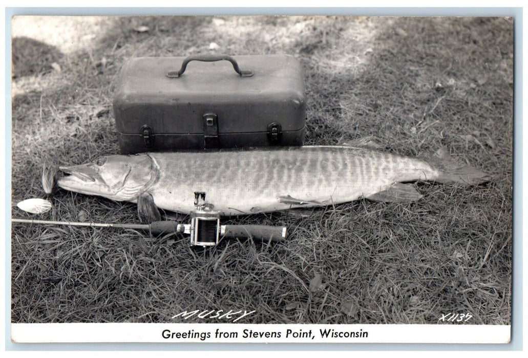 1948 Greetings From Stevens Point Wisconsin WI, Fish Musky RPPC Photo Postcard