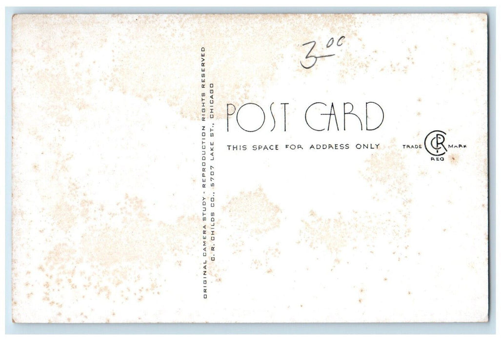 c1940 Lodge Restaurant Exterior Illinois White Pines Forest State Park Postcard