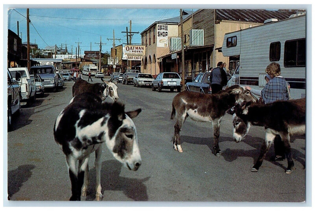 c1960 Colorado River Series Gold Mining Town Donkey Oatman Arizona AZ Postcard