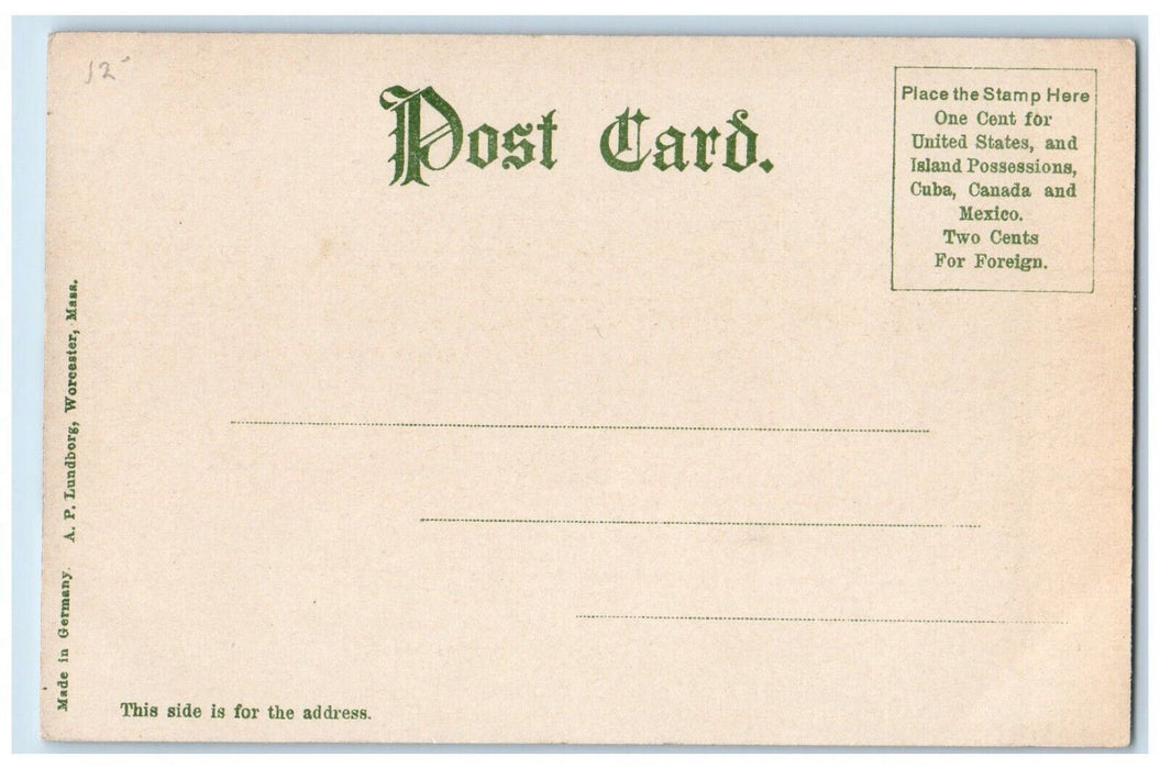 c1905 American Steel Wire Co. South Works River Worcester Massachusetts Postcard