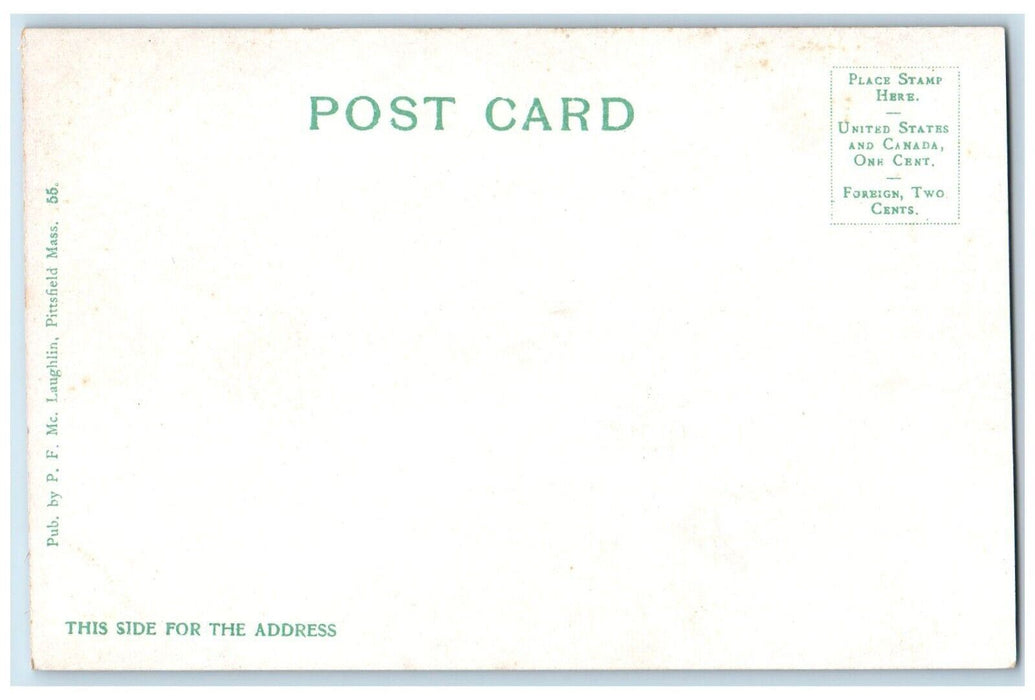 c1905 Natural Dam Wahconah Falls River Lake Trees Dalton Massachusetts Postcard