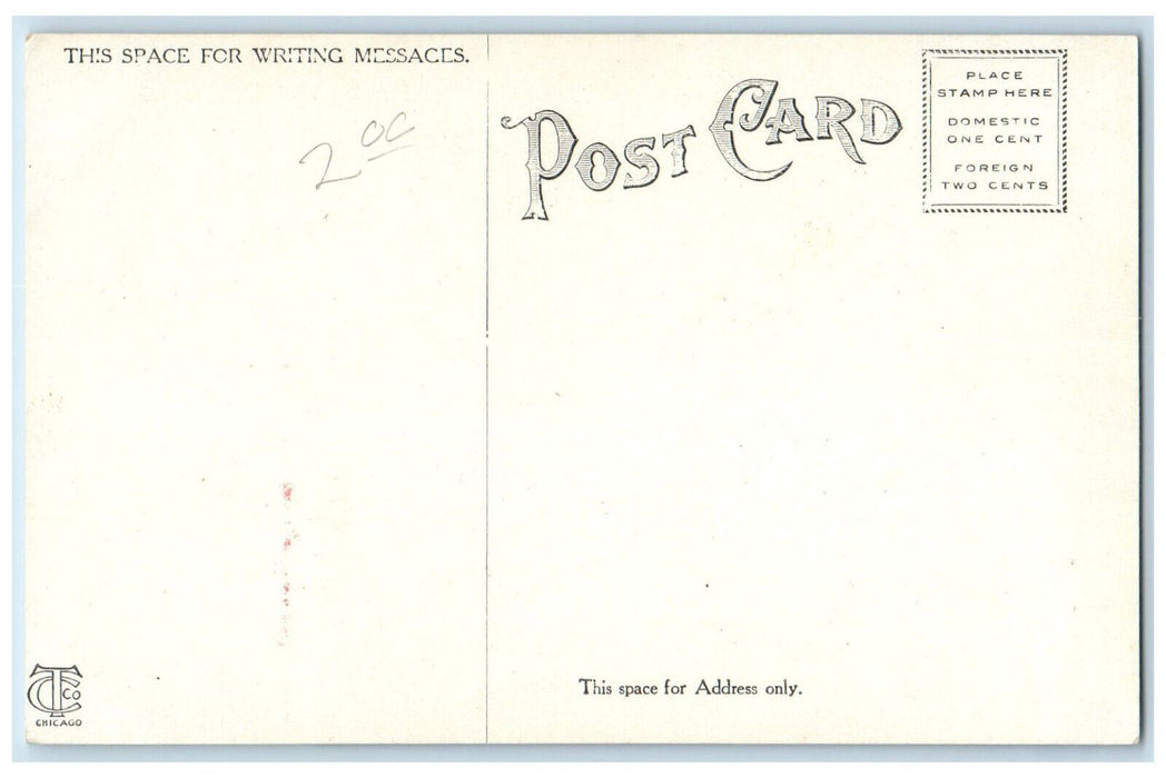 c1910 Hotel Marion Little Rock Arkansas AR Antique Unposted I. Goodman Postcard