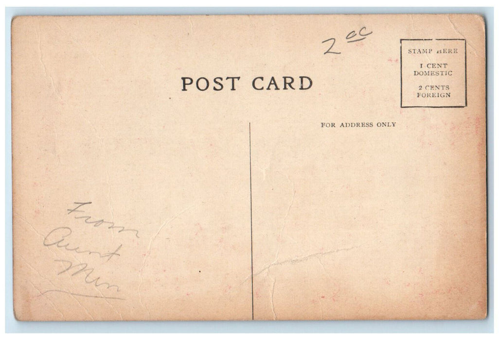 c1910 The Palatial Hotel St. Anthony and Annex San Antonio Texas TX Postcard
