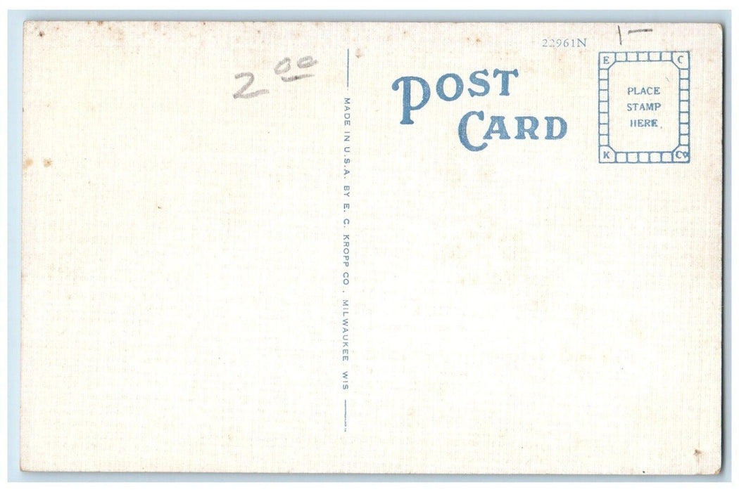 c1940 Excursion Steamer Capitol Lake Pepin Ferry Lake City Minnesota MN Postcard