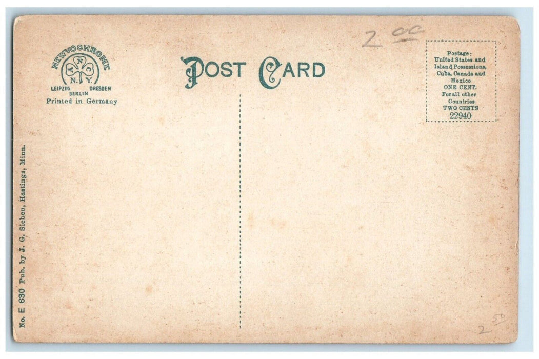 c1910 Vermillion Falls River Lake Bridge Hastings Minnesota MN Vintage Postcard