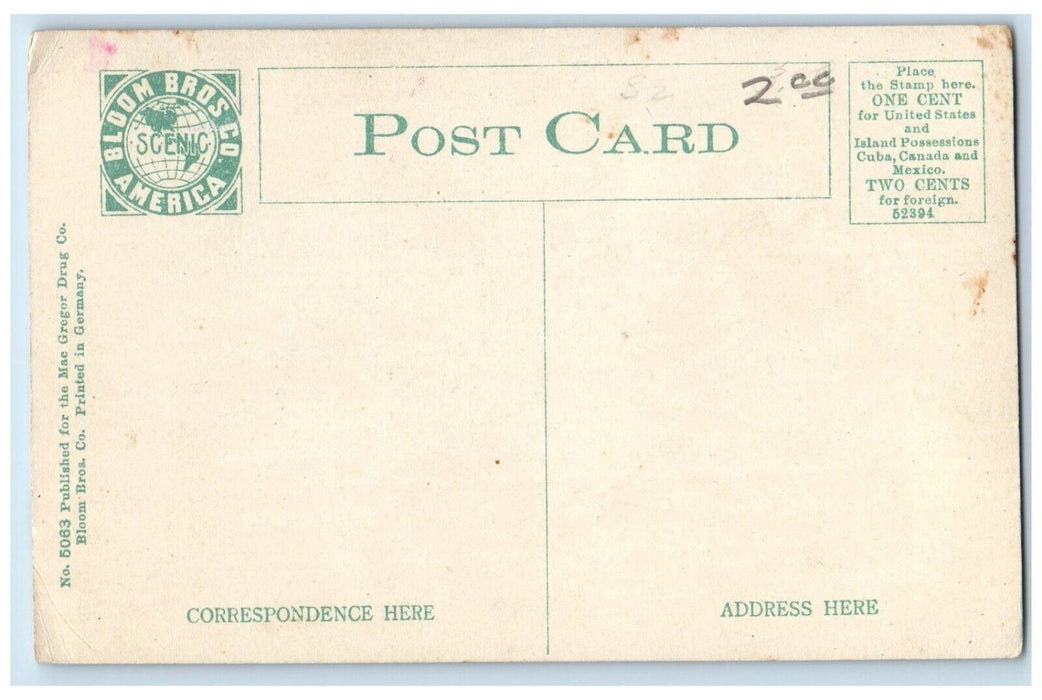 c1910 Hotel Minnesota Exterior Building Detroit Minnesota MN Bloom Bros Postcard