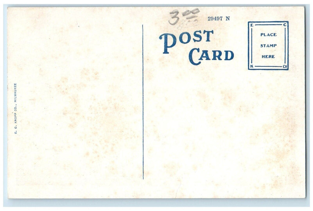 c1920 Looking North Broadway Classic Car Exterior Albert Lea Minnesota Postcard