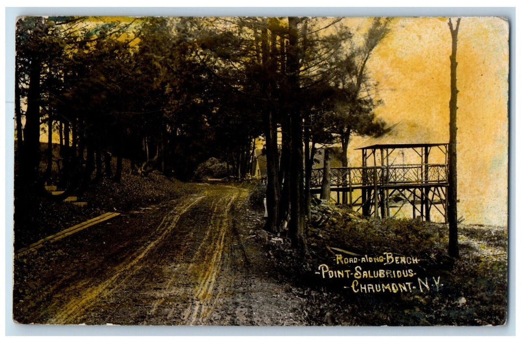 Road Along Beach Point Salubrious Chaumont New York NY RPPC Photo Postcard