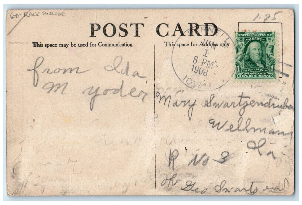 1908 Anthropomorphic Stork The Dinner Race Suicide Parnell Iowa IA Postcard