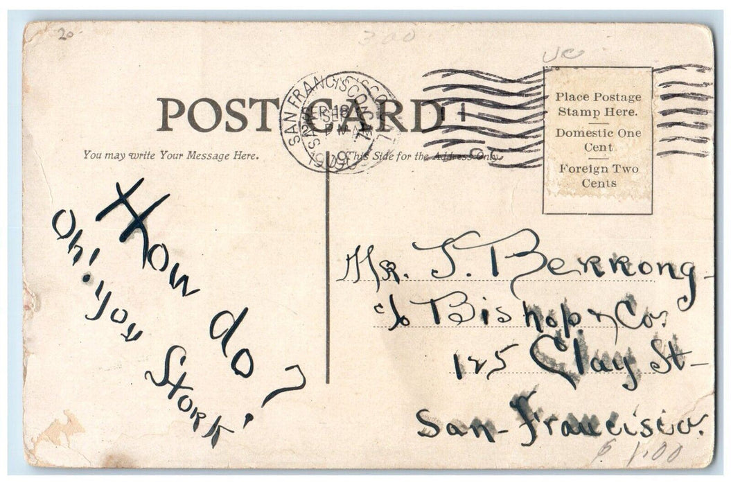 1909 Stork Couple Wedding Business Is Going To Boom San Francisco CA Postcard