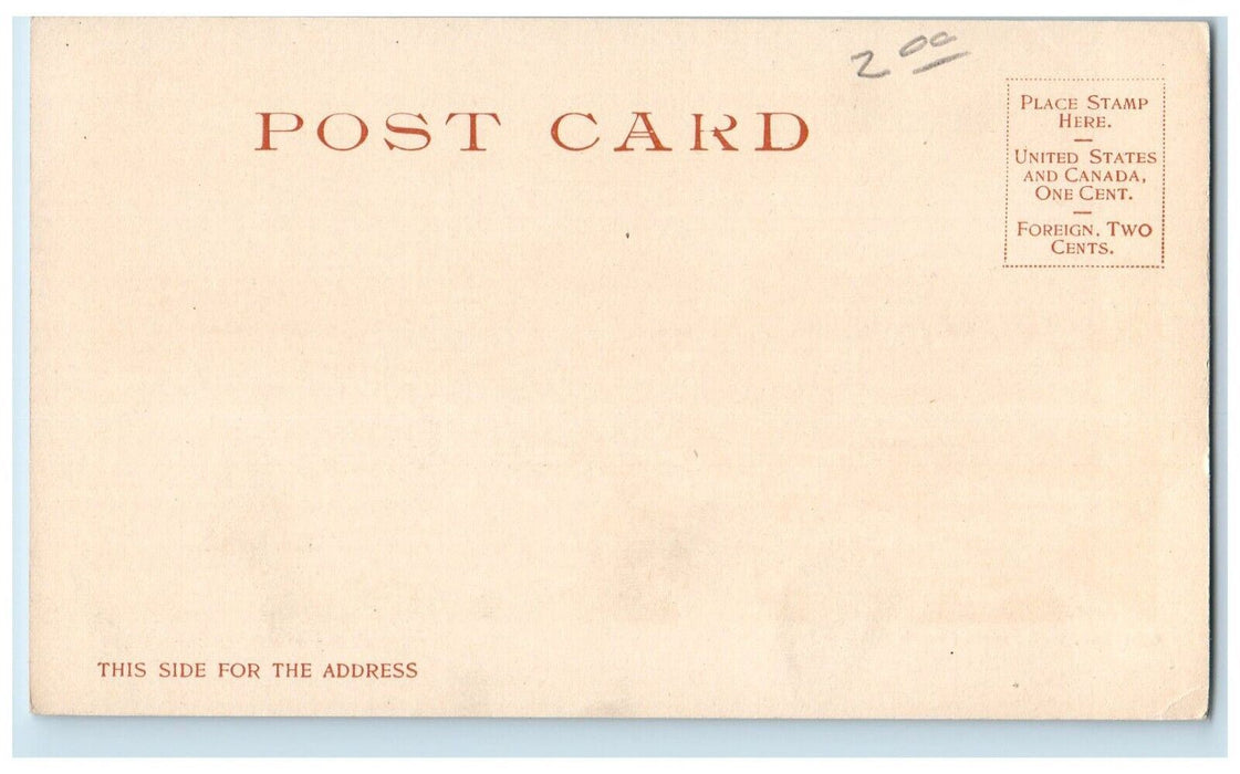 c1905 Aerial View High Bridge Exterior Building St. Paul Minnesota MN Postcard