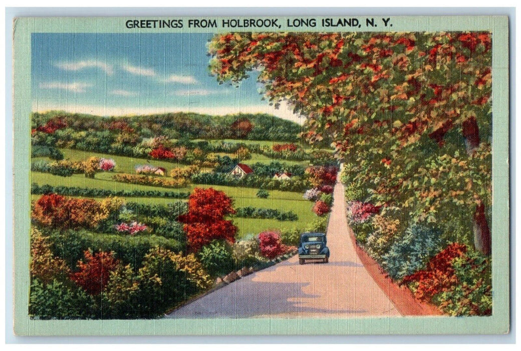 1967 Car Passing Leaves Trees Greetings from Holbrook Long Island NY Postcard