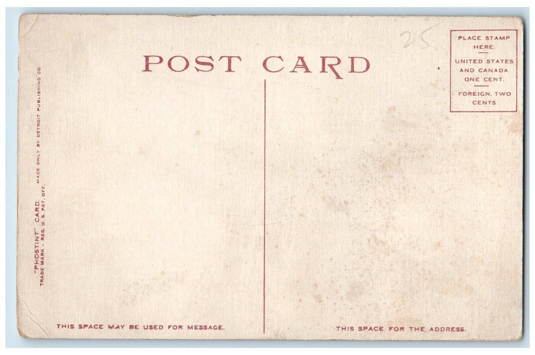 c1920's Boat Landing Hotel Marion Lake George New York NY Phostint Postcard