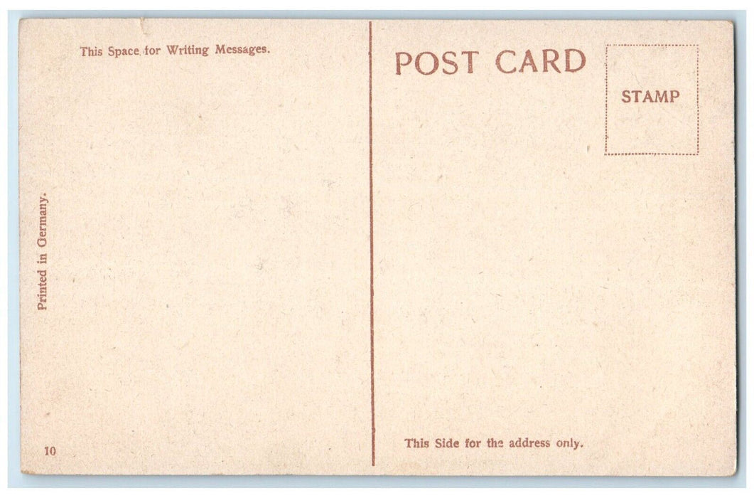 c1910 Sacred Heart Cathedral Davenport Iowa IA Antique Unposted Postcard