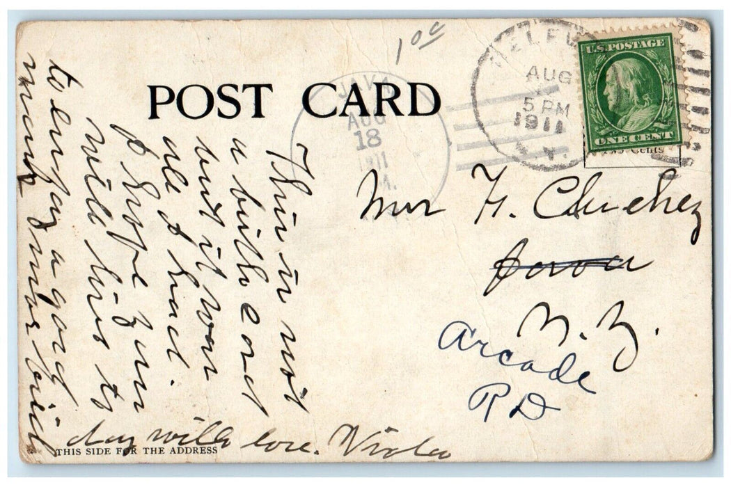 1911 Gates Ajar Como Park Flag Road St. Paul Minnesota Vintage Antique Postcard