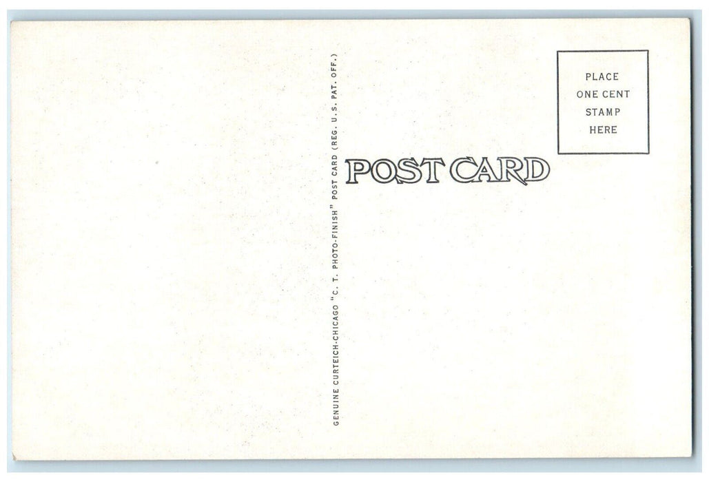 c1960's 70 Foot Fossil Dinosaur Smithsonian Institution Washington D.C. Postcard