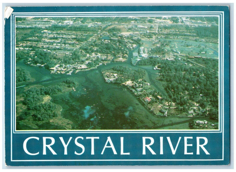 1988 A Panorama of Crystal River Blue Hole Scuba Divers Paradise Postcard