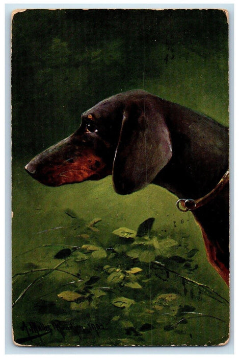 1910 Daschund Dog Clover Davenport Iowa IA Posted Antique Postcard