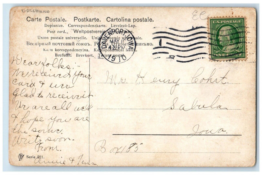 1910 Daschund Dog Clover Davenport Iowa IA Posted Antique Postcard