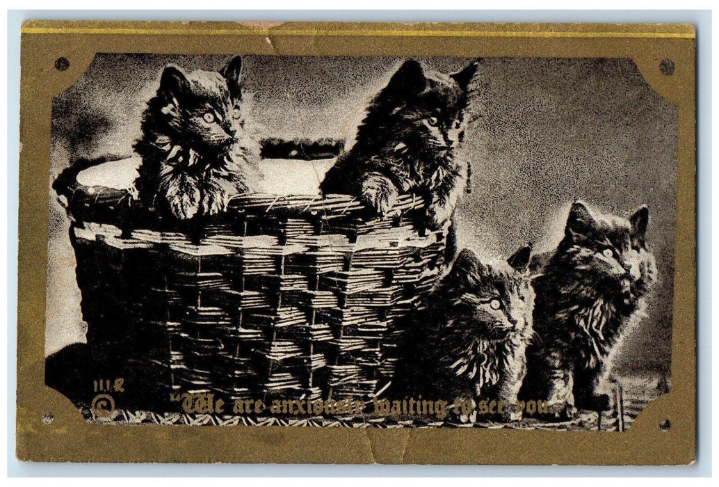 1910 Cute Cat Kittens Basket Waiting To See You Olinda Ontario Canada Postcard