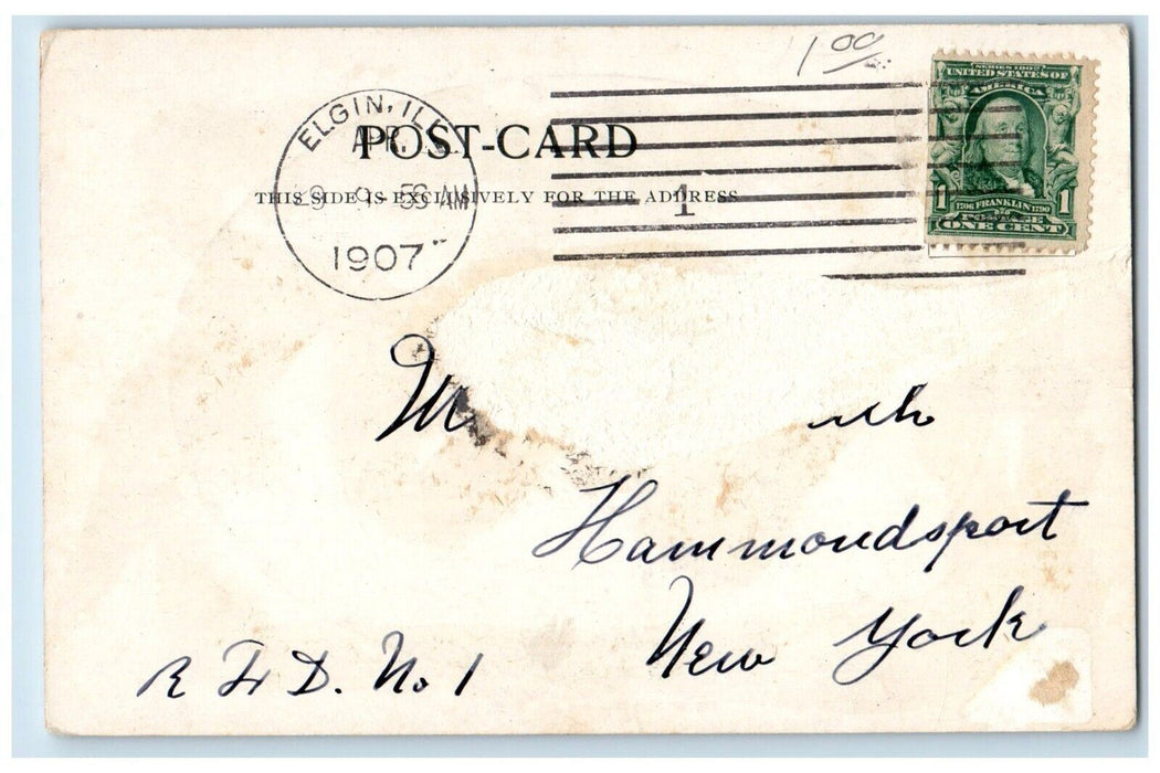1907 In Wing Park Bridge River Lake Elgin Illinois IL Vintage Antique Postcard