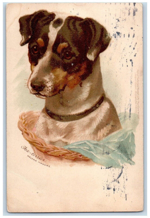 1914 Fox Terrier Dog Helena Maguire Times Square New York NY Antique Postcard