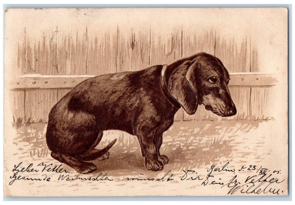 c1905 Cute Daschund Dog Puppy Fence Berlin Germany Embossed Antique Postcard