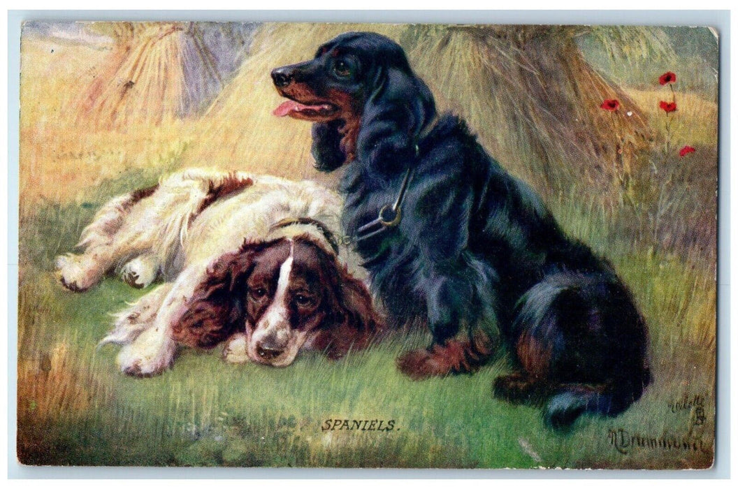 1909 Spaniels Dogs Oilette Tuck's Paignton England United Kingdom UK Postcard