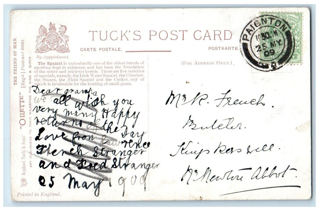 1909 Spaniels Dogs Oilette Tuck's Paignton England United Kingdom UK Postcard