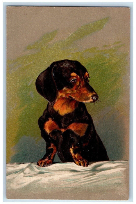 1908 Daschund Dog Embossed Canton Ohio OH Animals Posted Antique Postcard