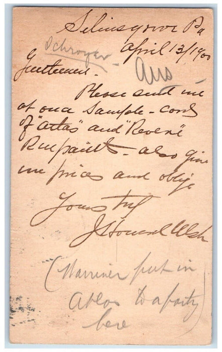 1900 Send Sample Selinsgrove Philadelphia Pennsylvania PA Antique Postal Card