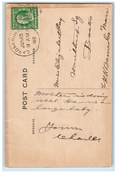 1912 Stork Delivering Baby Boy Gardner Massachusetts MA PostedAntique Postcard