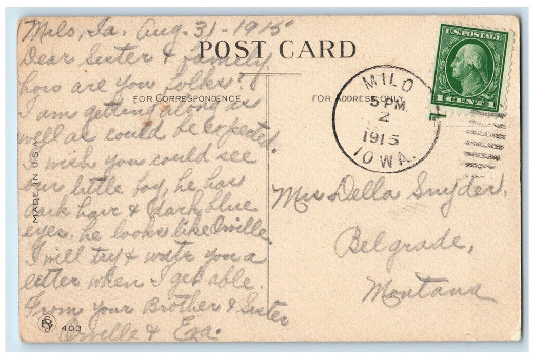 1915 Stork Delivered Baby Boy On Bassinet Milo Iowa IA Posted Antique Postcard
