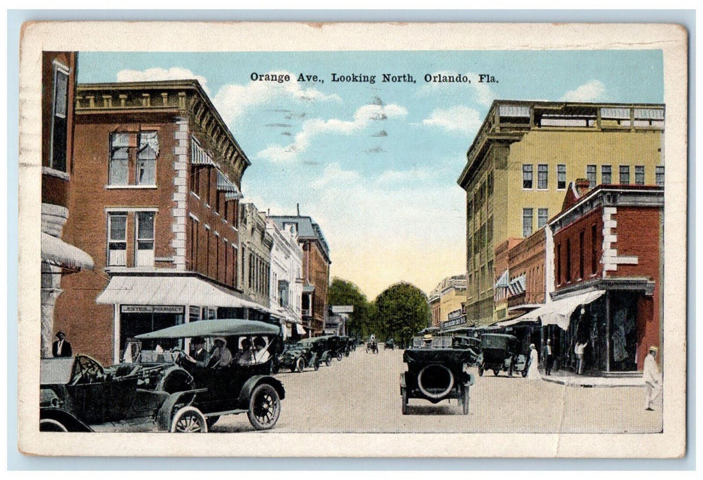 1919 Orange Avenue Looking North  Car-lined Orlando Florida FL Antique  Postcard