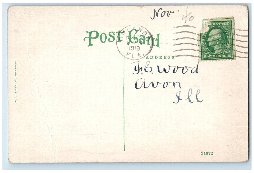 1919 Orange Avenue Looking North  Car-lined Orlando Florida FL Antique  Postcard