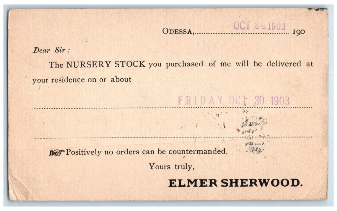 1903 Elmer Sherwood Nursery Stock Purchased Tarrytown NY Odessa NY Postal Card