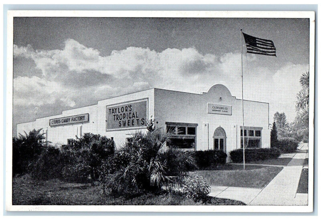 Citrus Candy Factory Taylor's Tropical Sweets Davenport Florida FL Postcard