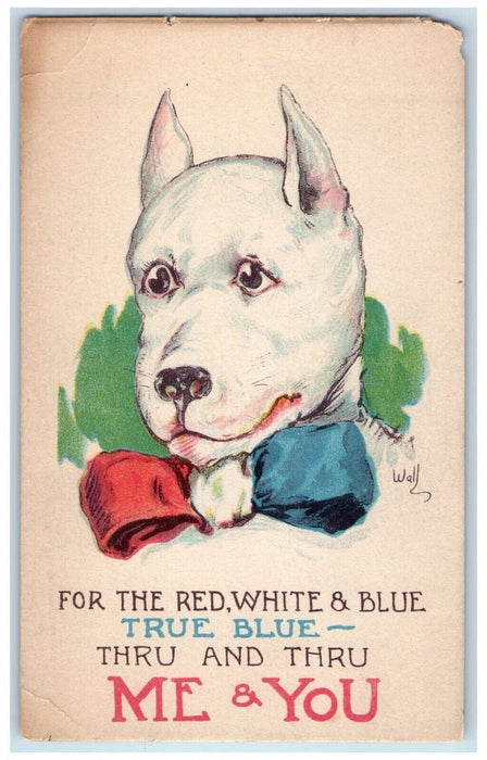 c1910's Bull Terrier Dog Red And Blue Bow WWI Wall Unposted Antique Postcard