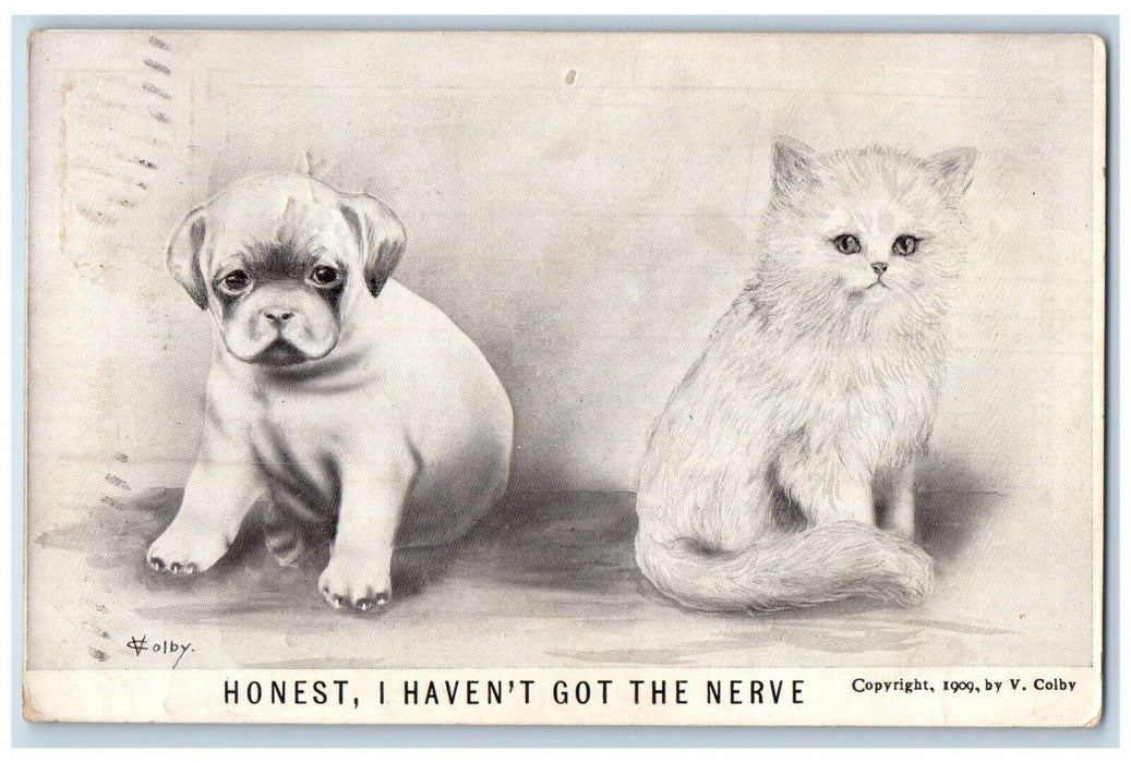 1910 Cute Puppy And Kitten I Haven't Got The Nerve Fowler Indiana IN Postcard